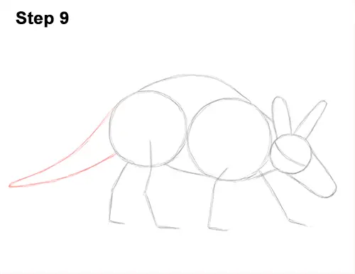 How to Draw an Aardvark Anteater Walking 9