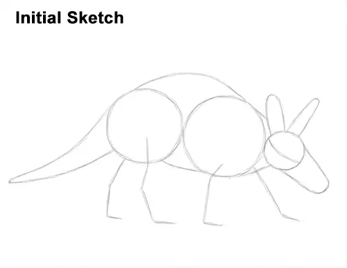 How to Draw an Aardvark Anteater Walking Initial Sketch