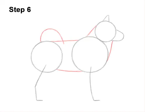 How to Draw an Alaskan Malamute Puppy Dog Side View 6