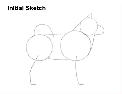 How to Draw an Alaskan Malamute Puppy Dog Side View Guides Lines