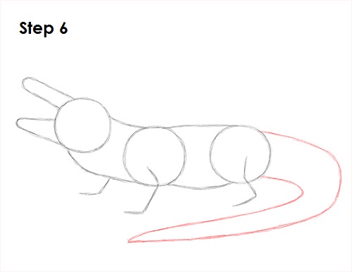 Draw Alligator 6