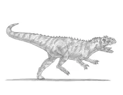How to draw an Allosaurus Dinosaur