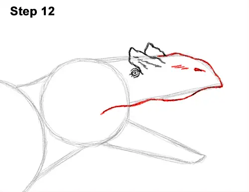 How to Draw Allosaurus Dinosaur Running Mouth Teeth 12