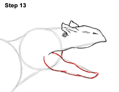 How to Draw Allosaurus Dinosaur Running Mouth Teeth 13