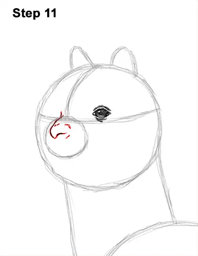 How to Draw an Alpaca Llama 11