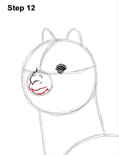 How to Draw an Alpaca Llama 12