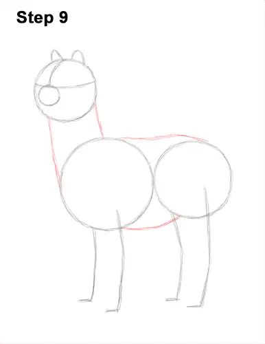 How to Draw an Alpaca Llama 9