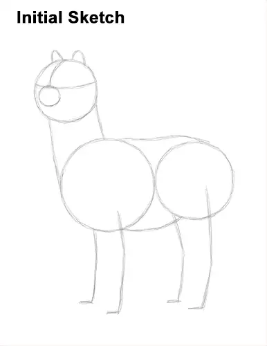 How to Draw an Alpaca Llama 2