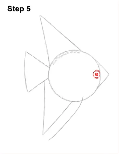 How to Draw an Altum Angelfish Blue Zebra Fish 5