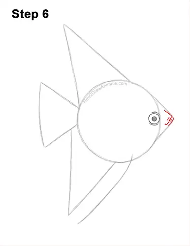 How to Draw an Altum Angelfish Blue Zebra Fish 6