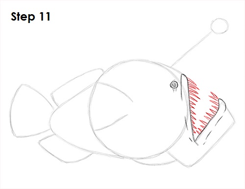 Draw Anglerfish 11
