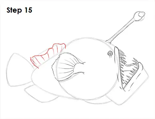 Draw Anglerfish 15