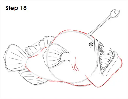 Draw Anglerfish 18