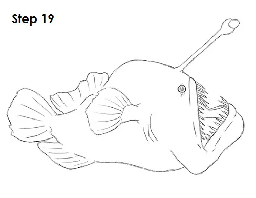 Draw Anglerfish 19