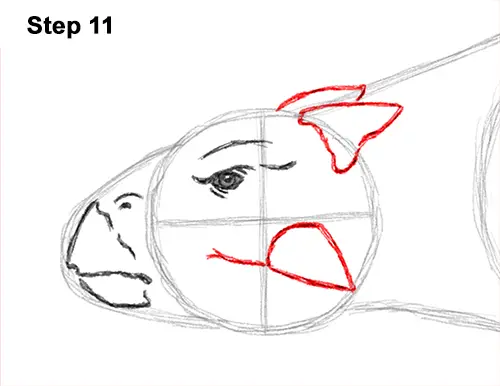 Draw Ankylosaurus Dinosaur 11