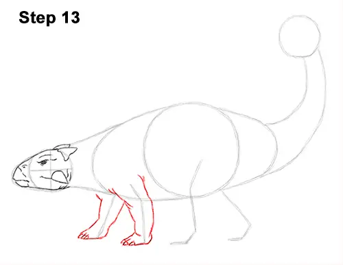 Draw Ankylosaurus Dinosaur 13