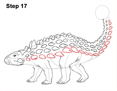 Draw Ankylosaurus Dinosaur 17