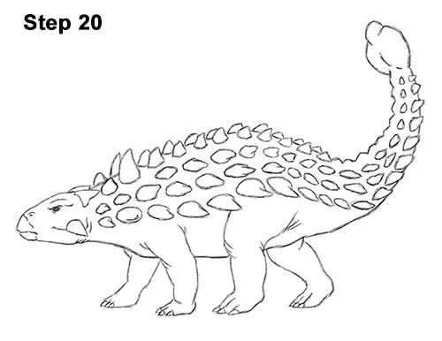 Draw Ankylosaurus Dinosaur 20