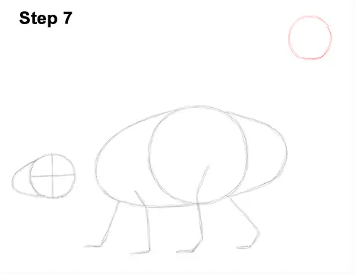 Draw Ankylosaurus Dinosaur 7