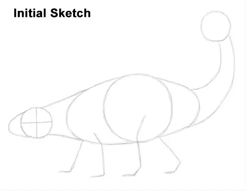 Draw Ankylosaurus Dinosaur Sketch