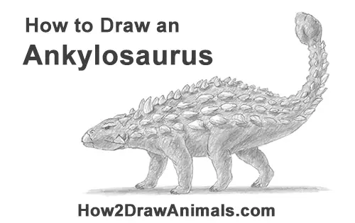 How to Draw an Ankylosaurus Dinosuar