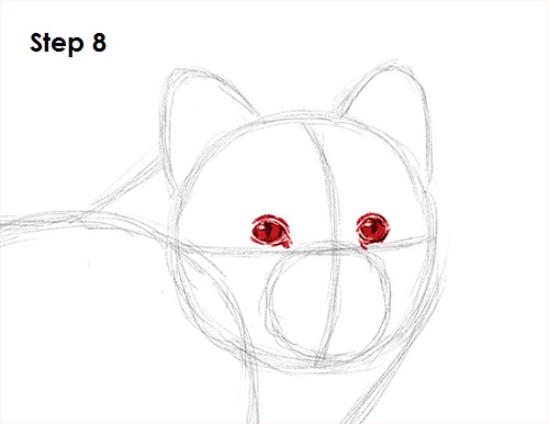 Draw Arctic Fox 8