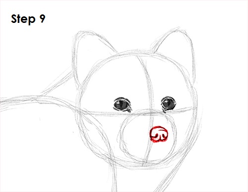 Draw Arctic Fox 9