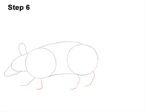 Draw Armadillo 6