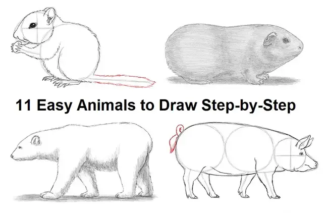 Featured image of post Simple Wild Animal Drawings / You can edit any of drawings via our online image editor before downloading.