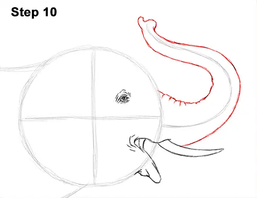 Draw Asian Elephant 10