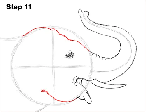 How to Draw an Asian Elephant