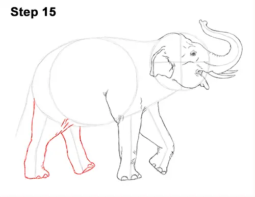 Elephant Drawing – Learn how to Draw a Grey Giant