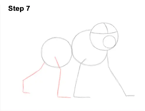 How to Draw an Olive Chacma Baboon Monkey Walking 7