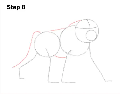 How to Draw an Olive Chacma Baboon Monkey Walking 8