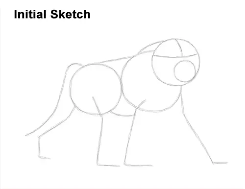 How to Draw an Olive Chacma Baboon Monkey Walking Guides Lines