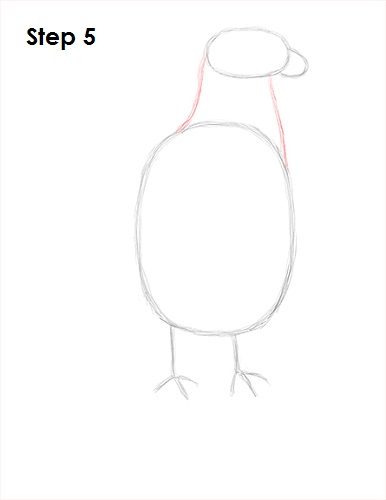 Draw Bald Eagle 5