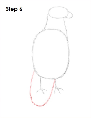 Draw Bald Eagle 6