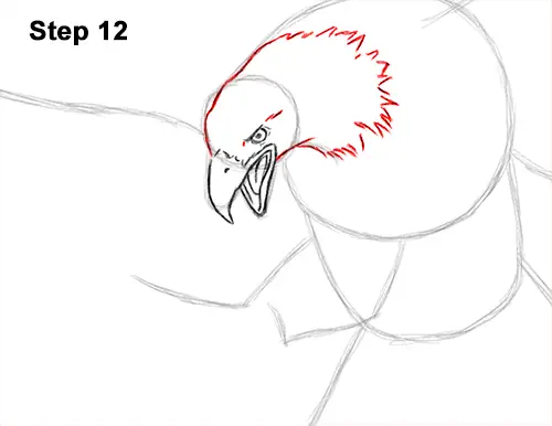 How to Draw Bald Eagle Hunting Swooping Wings 12