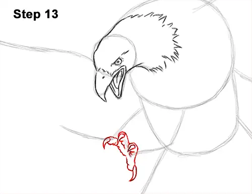 How to Draw Bald Eagle Hunting Swooping Wings 13