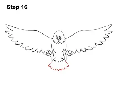 flying eagle drawing side view