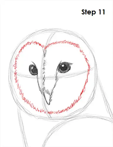Draw Barn Owl 11