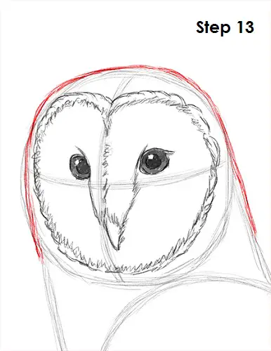 Draw Barn Owl 13