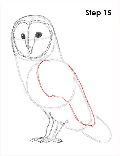 Draw Barn Owl 15