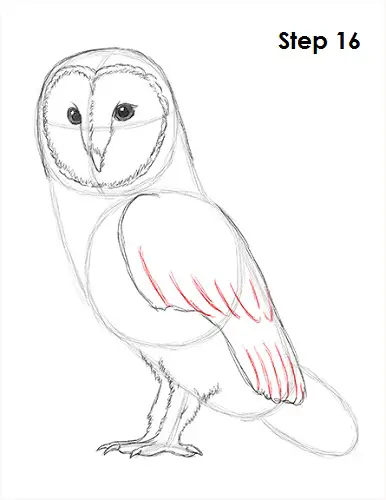 How to Draw an Owl Learn to Draw a Cute Colorful Owl in this Easy  StepbyStep Drawing Lesson  Art is Fun