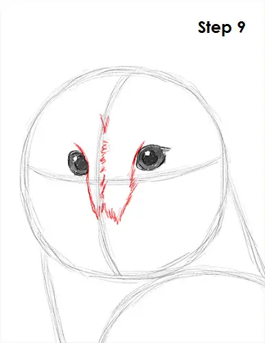 Draw Barn Owl 9