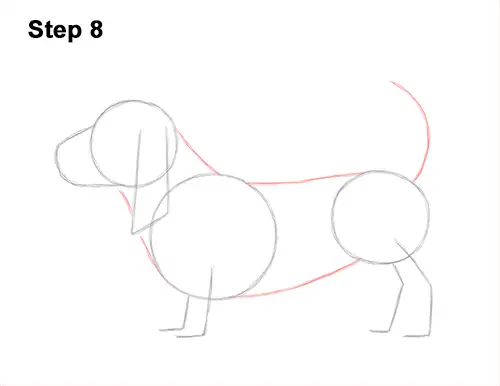 How to Draw a Basset Hound Puppy Dog Side View 8