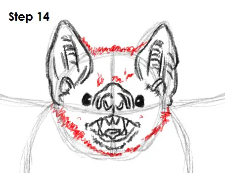 Draw Vampire Bat 14