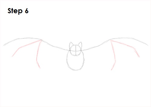 How to Draw a Bat