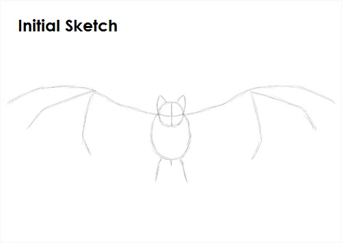 Draw Vampire Bat Sketch