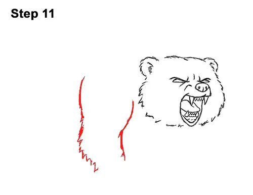 Draw Angry Mean Growling Roaring Cartoon Bear 11